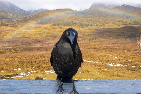 Cradle Mountain Park Explorer Guided Tour - Tourism Canberra 2