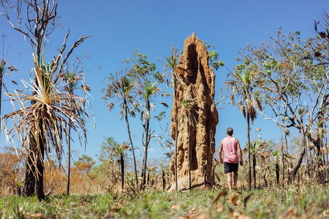 Litchfield National Park Waterfalls And Wildlife Tour From Darwin - Tourism Canberra 4
