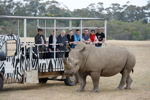 Off-Road Safari At Werribee Open Range Zoo - Tourism Canberra 0