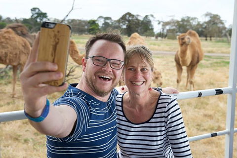 Off-Road Safari At Werribee Open Range Zoo - Tourism Canberra 1