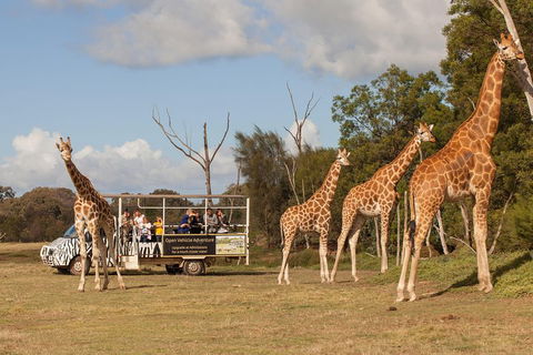 Off-Road Safari At Werribee Open Range Zoo - Tourism Canberra 3