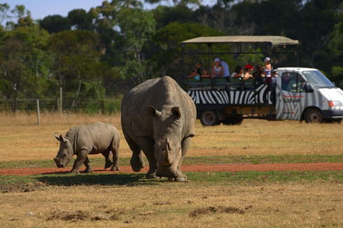 Off-Road Safari At Werribee Open Range Zoo - Tourism Canberra 5