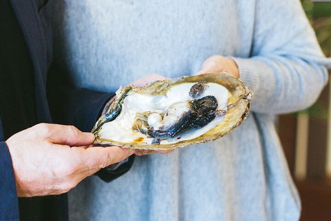 Half-Day Willie Creek Pearl Farm Tour With Helicopter Flight - Tourism Canberra 3