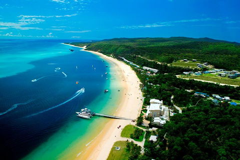 Tangalooma Island Resort Whale Watching Day Cruise - Tourism Canberra 2
