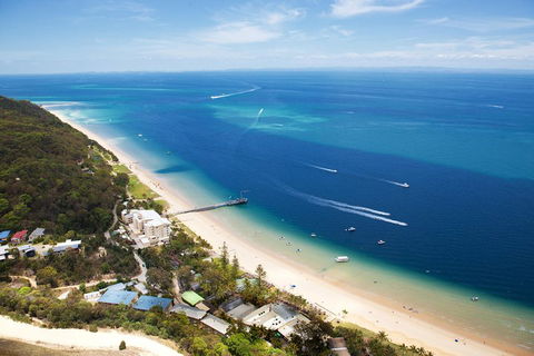 Tangalooma Island Resort Whale Watching Day Cruise - Tourism Canberra 3