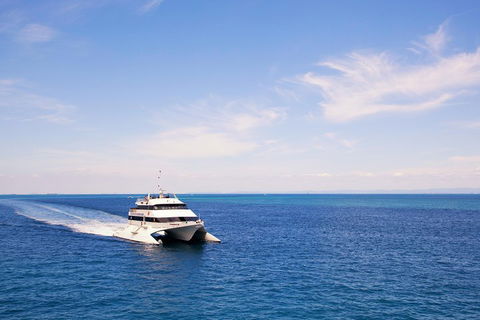 Tangalooma Island Resort Whale Watching Day Cruise - Tourism Canberra 5