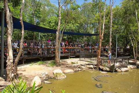 Hartley's Crocodile Adventures Breakfast With The Koalas - Tourism Canberra 1