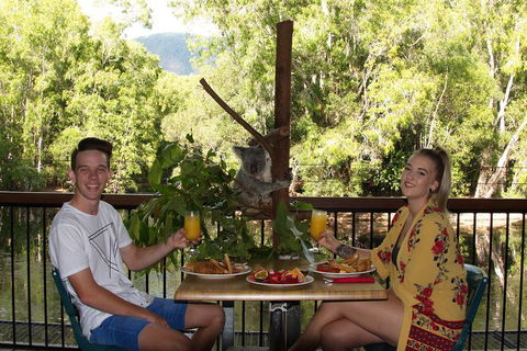 Hartley's Crocodile Adventures Breakfast With The Koalas - Tourism Canberra 5