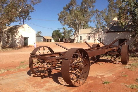 Palm Valley 4WD Day Tour - Tourism Canberra 0