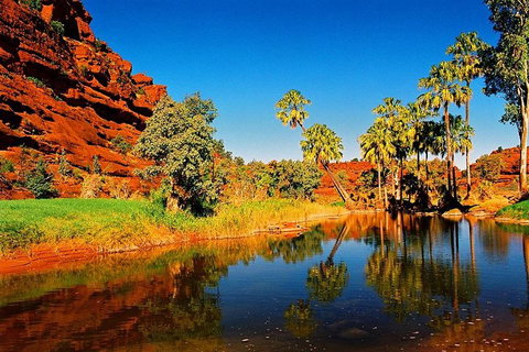 Palm Valley 4WD Day Tour - Tourism Canberra 2