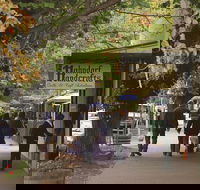 Adelaide Highlights Hahndorf  McLaren Vale Wine Tasting and Sightseeing Tour - Tourism Canberra