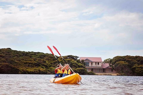 Kangaroo Island Self-Guided Kayaking On The Harriet River - Tourism Canberra 5