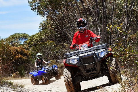 Kangaroo Island Quad Bike (ATV) Tours - Tourism Canberra 5