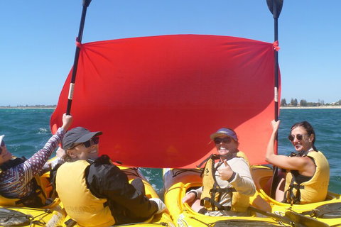 Seal Island And Penguin Island Or Point Peron Sea Kayak Tour - Tourism Canberra 2