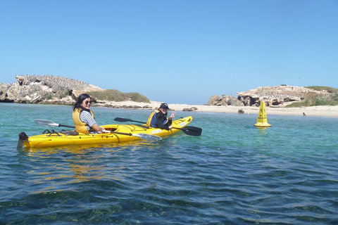Seal Island And Penguin Island Or Point Peron Sea Kayak Tour - Tourism Canberra 3