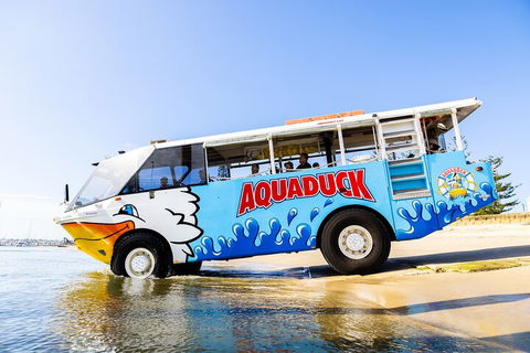 Aquaduck & Your Choice Of Gold Coast Rainforest Tour - Tourism Canberra 3