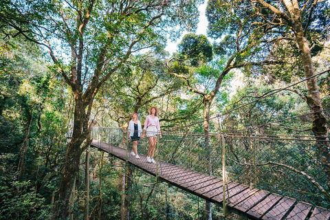 Aquaduck & Your Choice Of Gold Coast Rainforest Tour - Tourism Canberra 4