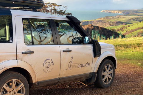 Kangaroo Island 4WD Tour - Best Of KI In 2 Days - Tourism Canberra 4