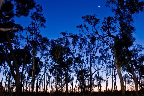 Small-Group Kangaroo Island 4WD Night Tour - Tourism Canberra 2
