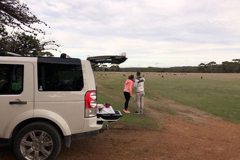 Kangaroo Island 4WD Tour - Flinders Chase - Tourism Canberra 3