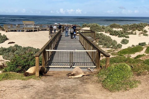Kangaroo Island 4WD Tour - Best Of KI - Tourism Canberra 2