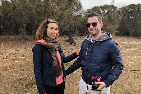 Kangaroo Island 4WD Tour - Best Of KI - Tourism Canberra 3