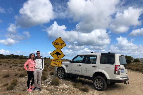 Kangaroo Island 4WD Tour - Best Of KI - Tourism Canberra 5