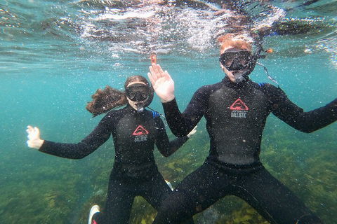 Manly Snorkel Trip And Nature Walk With Local Guide - Tourism Canberra 3