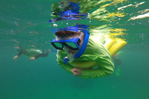 Manly Snorkel Trip And Nature Walk With Local Guide - Tourism Canberra 5