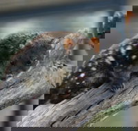 Sunset Experience - Tourism Canberra