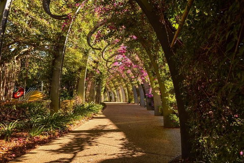 Brisbane Scavenger Hunt: Brisbane's South Bank! - Tourism Canberra 3