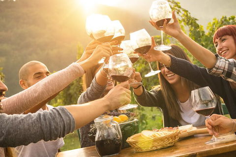 Yarra Valley, Dandenong Ranges Inc. Lunch With Wine,plus Morning Tea,chocolate - Tourism Canberra 4