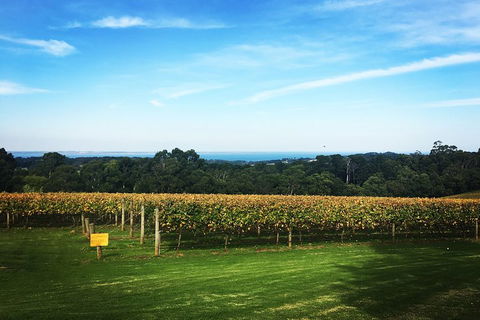 Yarra Valley Private Car Winery Tour And Chocolate.1-7 Passengers One Car Price - Tourism Canberra 0