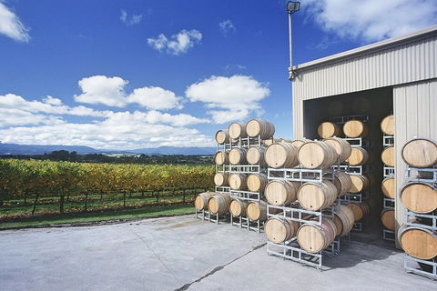 Yarra Valley Private Car Winery Tour And Chocolate.1-7 Passengers One Car Price - Tourism Canberra 2