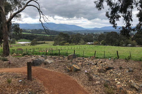 Yarra Valley Wine Tour Inc Lunch With A Glass Of Wine, Tastings And Chocolate - Tourism Canberra 0