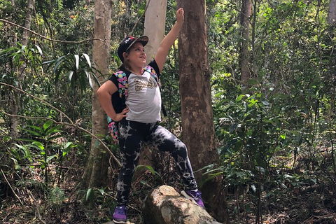 Natural Bridge, Skywalk And Mt Tamborine Adventure! - Tourism Canberra 3