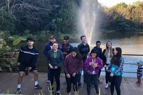 Natural Bridge, Skywalk And Mt Tamborine Adventure! - Tourism Canberra 4