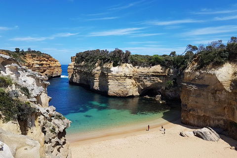 Helicopter Flight + Fine Dining Private Luxury Great Ocean Road Tour - Tourism Canberra 1