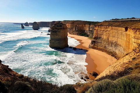 Helicopter Flight + Fine Dining Private Luxury Great Ocean Road Tour - Tourism Canberra 4