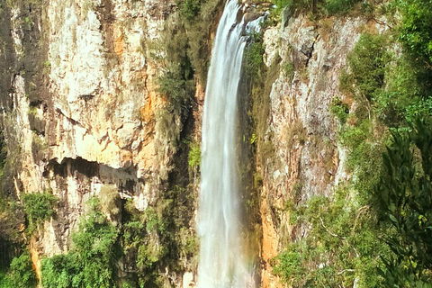 Natural Arch, Rainforest & Volcano Canyon - Private Half Day Tour - Tourism Canberra 2