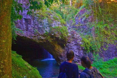Natural Arch, Rainforest & Volcano Canyon - Private Half Day Tour - Tourism Canberra 4