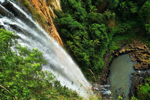 Natural Arch, Rainforest & Volcano Canyon - Private Half Day Tour - Tourism Canberra 5