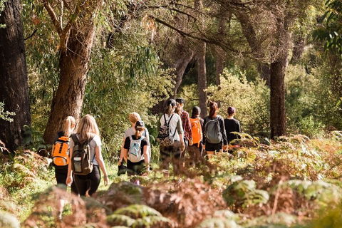 Half-Day Yanchep Ghost House Wilderness Guided Hike Tour - Tourism Canberra 0