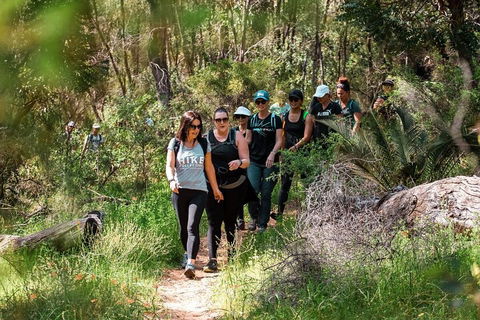 Half-Day Yanchep Ghost House Wilderness Guided Hike Tour - Tourism Canberra 3