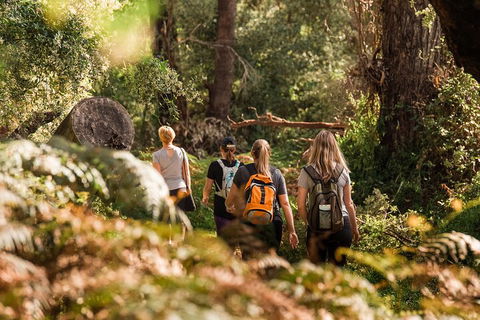 Half-Day Yanchep Ghost House Wilderness Guided Hike Tour - Tourism Canberra 5