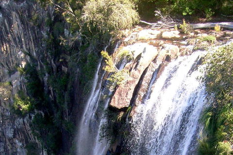 Byron Bay Combo: Hinterland Tour Including Minyon Falls And Kayaking With Dolphins - Tourism Canberra 3