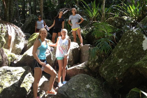 Byron Bay Combo: Hinterland Tour Including Minyon Falls And Kayaking With Dolphins - Tourism Canberra 4