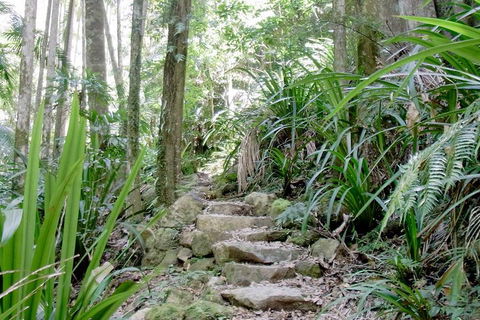 Byron Bay Combo: Hinterland Tour Including Minyon Falls And Kayaking With Dolphins - Tourism Canberra 5