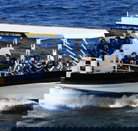 Mooloolaba Whale Watching Tour - Tourism Canberra