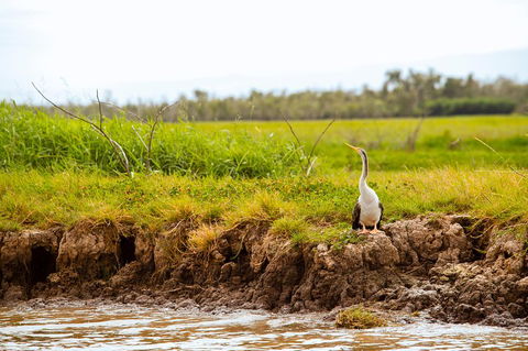 Darwin City Sights And Jumping Crocodile Cruise - Tourism Canberra 2